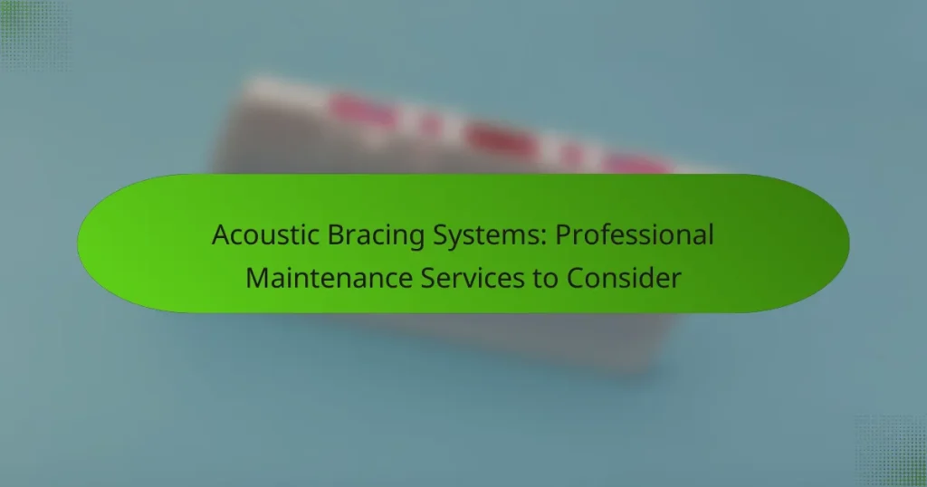 Acoustic Bracing Systems: Professional Maintenance Services to Consider