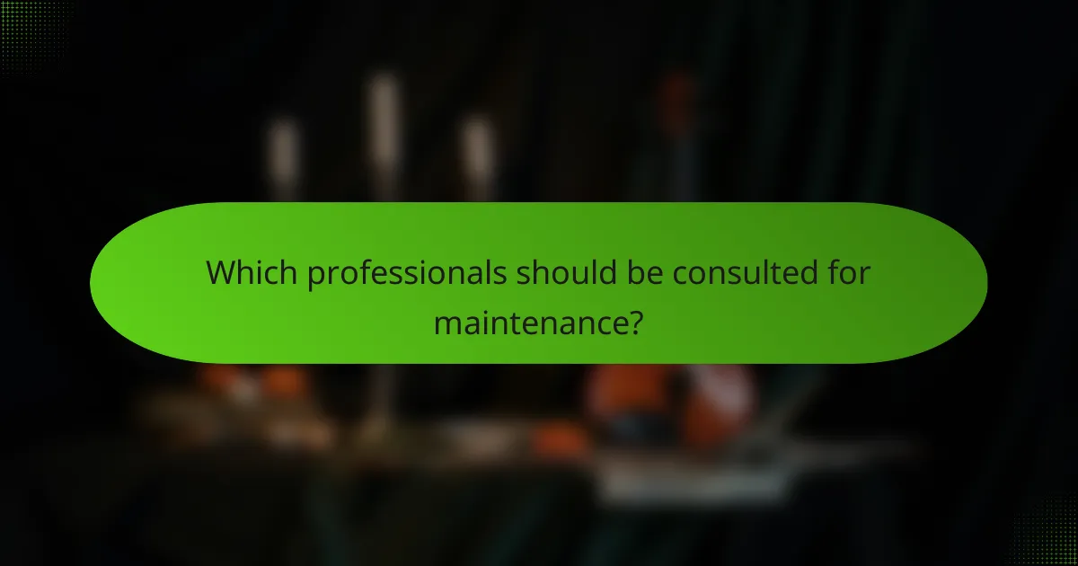 Which professionals should be consulted for maintenance?